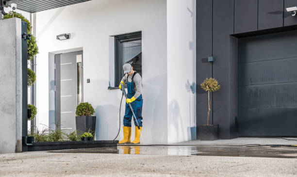 Best Roof Washing  in Rosemont, CA